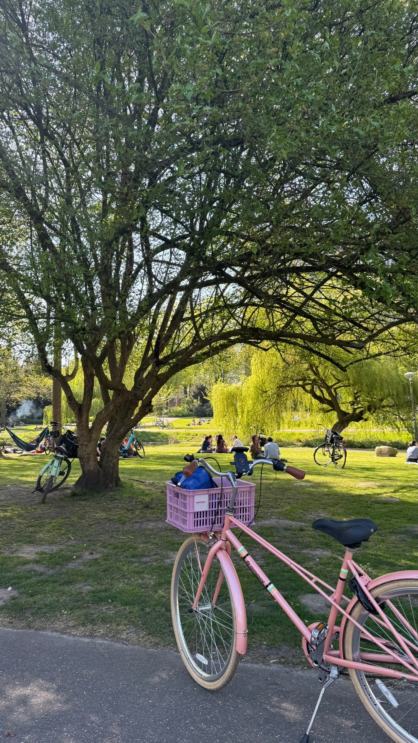 parkda bisiklet görseli