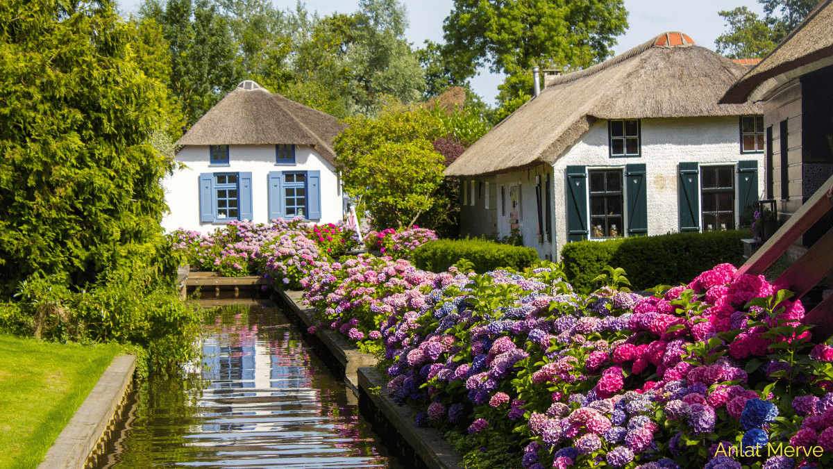 Giethoorn Gezi Rehberi: Ulaşım, Tekne Turu ve Aktivite Önerileri